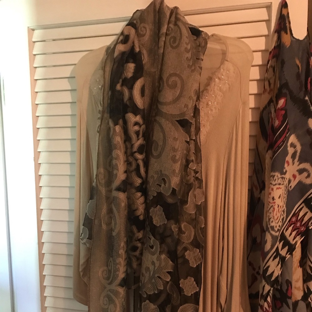 Gorgeous long silk scarf
